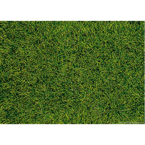 Wild Grass Pad -- Moorland Green 11 x 5-1/2" 28 x 14cm