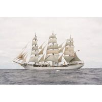 BB5005 Danmark - Wooden Ship Model