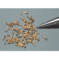 Brass Nails (60) - 3.2 mm x .61 mm (1/8" by .024")