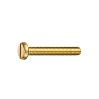 Brass Metric M2 Panhead 10mm (10)