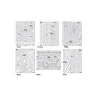 Kustom FX3 Set of 6 - Mini Series Templates