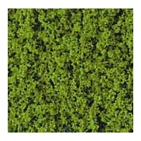 HEKI foliage foliage flakes may green 200 ml