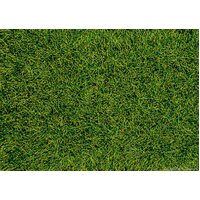 Wild Grass Pad -- Moorland Green 11 x 5-1/2" 28 x 14cm