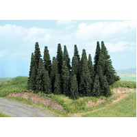 Fir Forest, 24 fir trees 5-11 cm