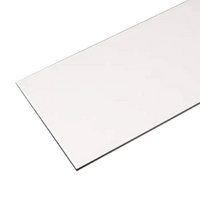 Stainless Steel Strip .58 x 12.7 x 300mm
