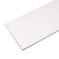 Stainless Steel Strip .76 x 12.7 x 300mm
