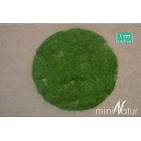 Static Summer Grass 2mm 50g
