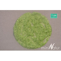 Static Early Autumn Grass 2mm 50g