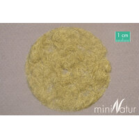 Static Late Autumn Grass 2mm 50g