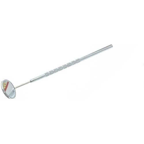 Dental Type Mirror 22mm - Stainless Steel
