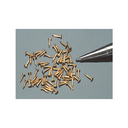 Brass Nails (60) - 3.2 mm x .61 mm 