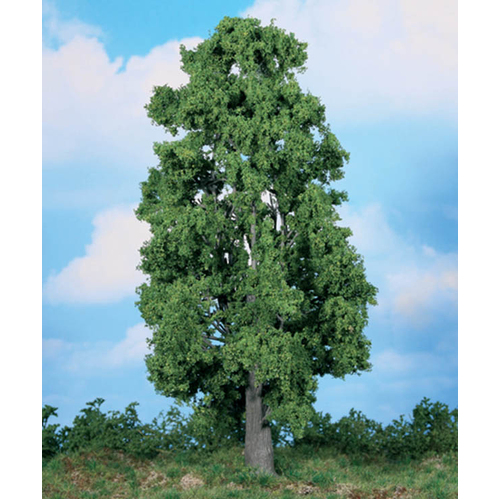 Heki Chestnut Tree 30 cm / 12"