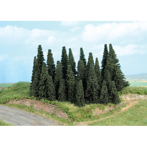 Fir Forest, 24 fir trees 5-11 cm