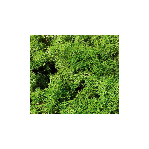 HEKI 3210 STD LICHEN LIGHT GREEN 30g